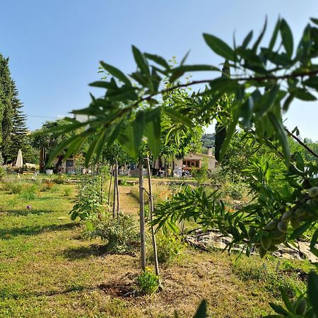 La Ferme Constantin Villa Fayence Dış mekan fotoğraf
